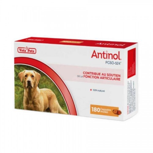 Antinol pour chien 180 capsules