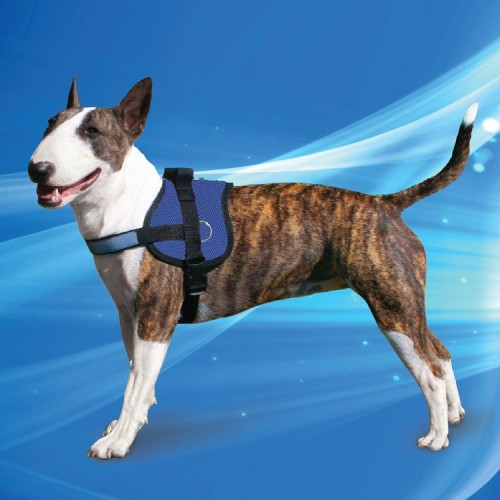 Aqua Coolkeeper SURVIVAL 
 harnais rafraîchissant pour grand chien 1