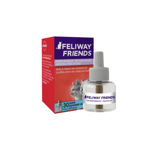 Feliway Friends pour chat, recharge diffuseur