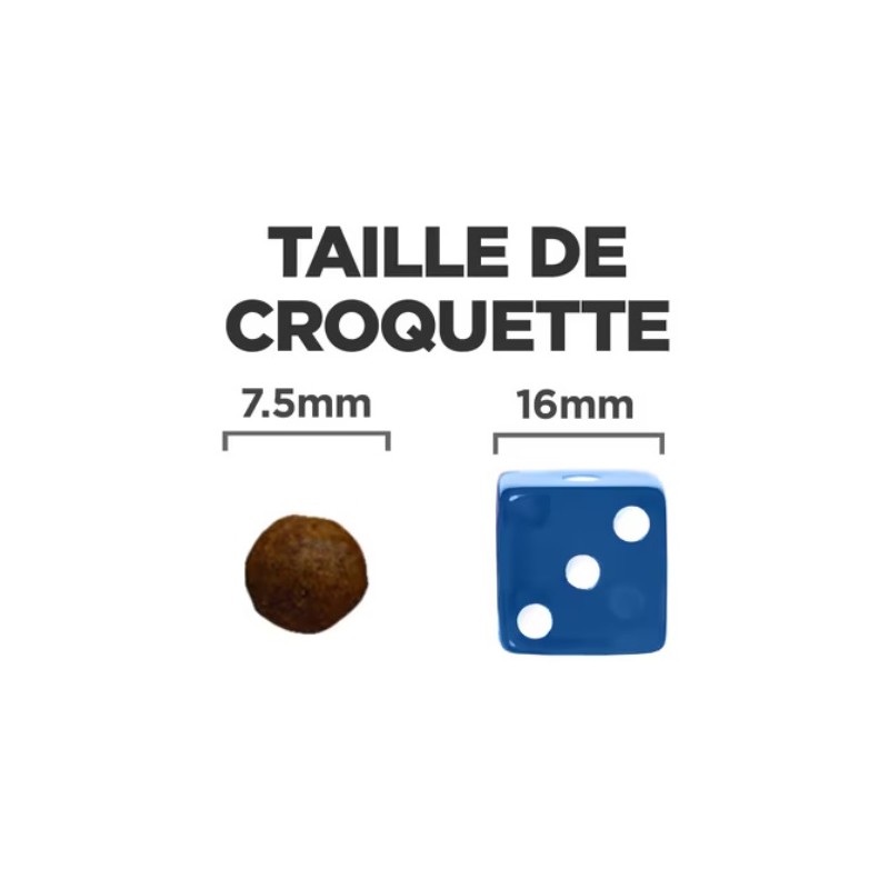 Hills zd mini 6kg online