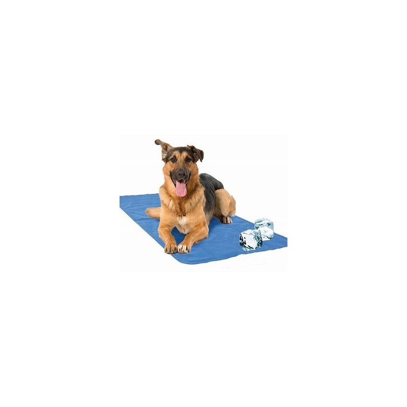 SwissPet COOL natte rafraîchissante pour animaux de compagnie 75 x 140 cm