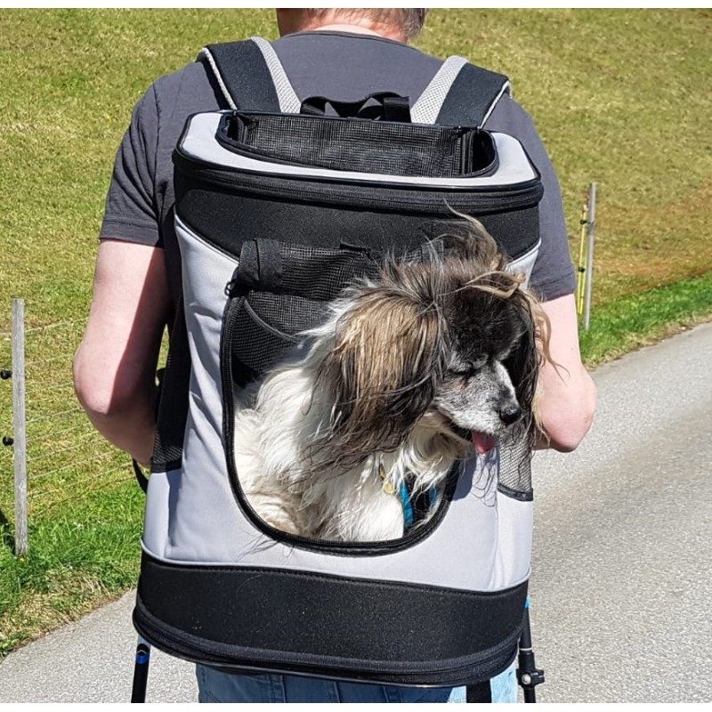 De Transport Chien Sac Ã Dos Pour Chat Truffaut Sac à Dos De