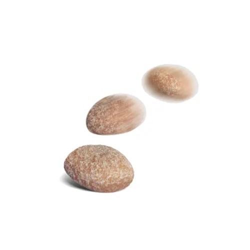 Royal Canin TREATS HYPOALLERGENIC Snacks pour chien 230g