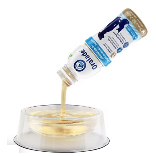 Oralade Advanced GI+ pour chien et chat 500ml