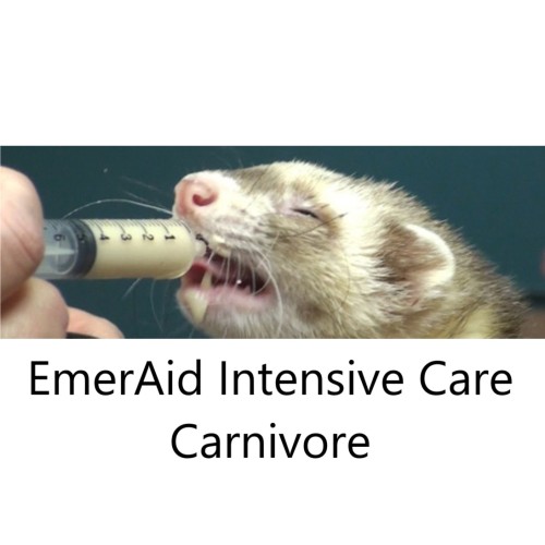 EmerAid Intensive Care Carnivore poudre 100g
