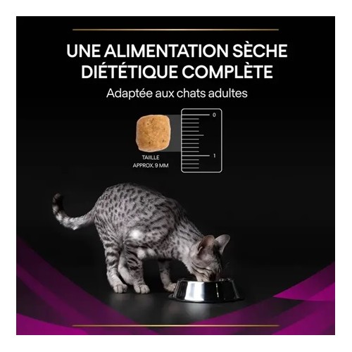 Purina Veterinary Diets Feline UR Urinary croquettes