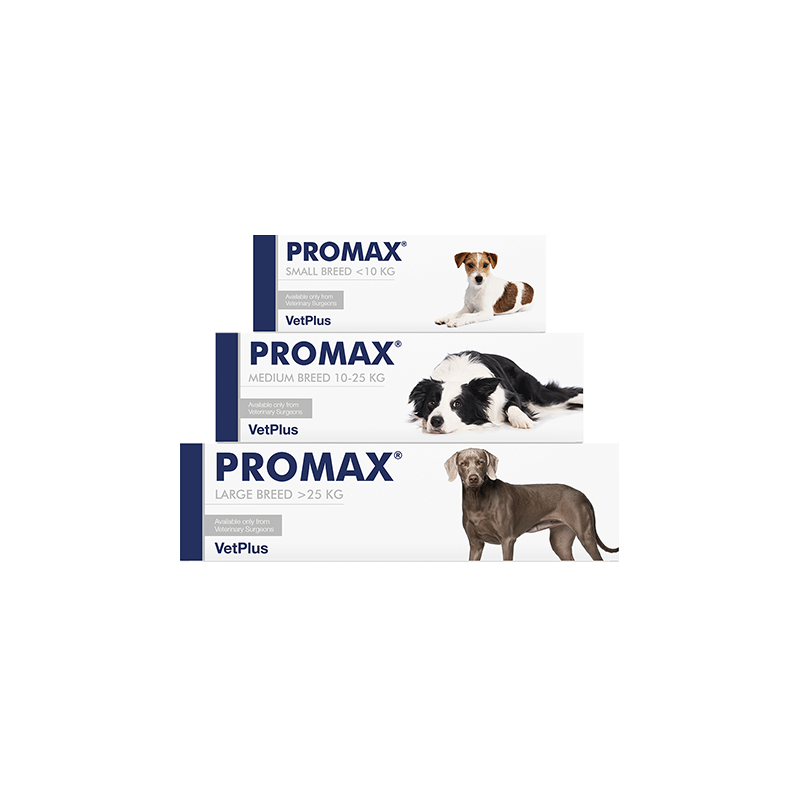 Promax pour chiens Promax pour chiens
