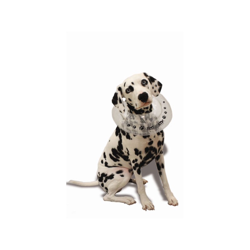 Boobooloon Dalmatien