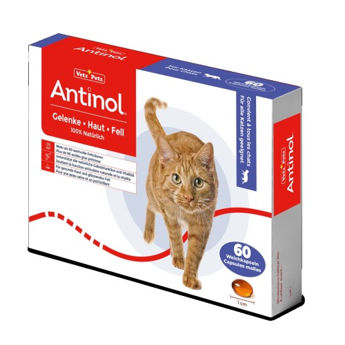 Antinol Chat 60 capsules molles