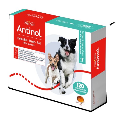 New Antinol Chien 120 capsules molles