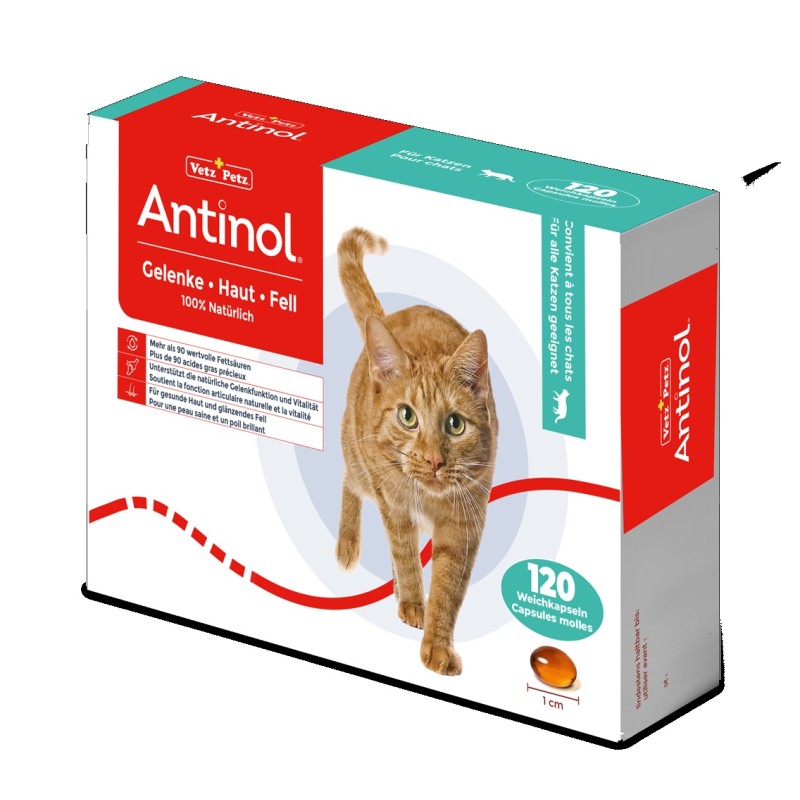 Antinol Chat 120 capsules molles