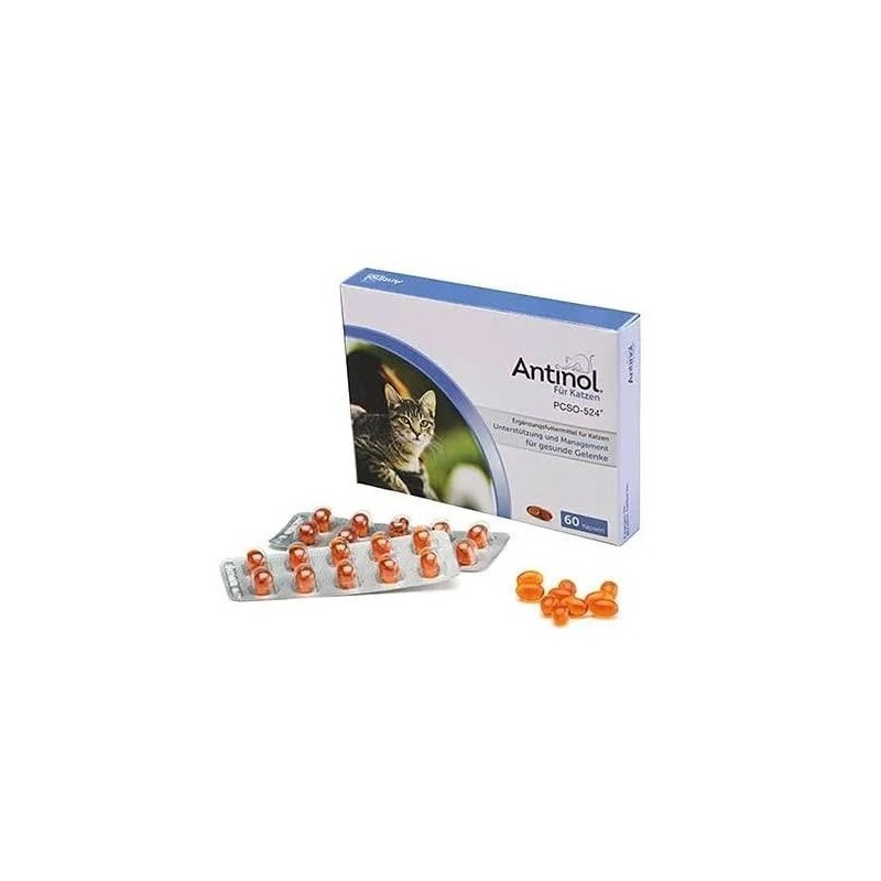Antinol pour chat 60 gélules