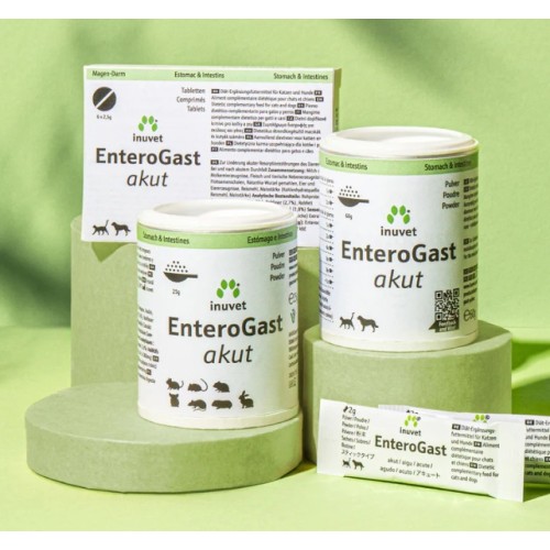 EnteroGast akut