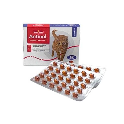 Antinol Chat 60 capsules molles