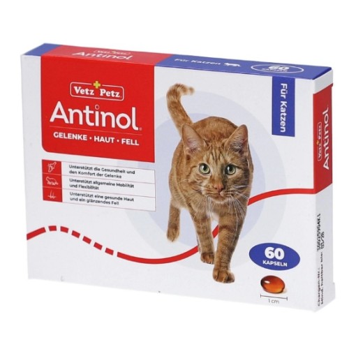 Antinol Chat 60 capsules molles