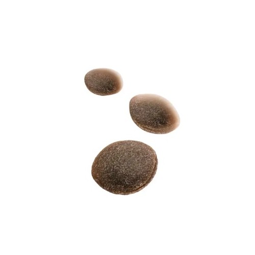 Royal Canin TRAINING Treats Snacks pour chien 110g