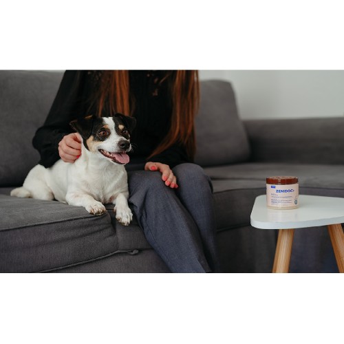 Zenidog gel diffuseur pour chiens