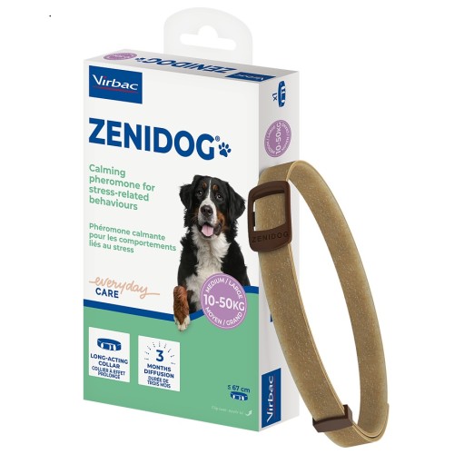 Zenidog collier M pour chiens