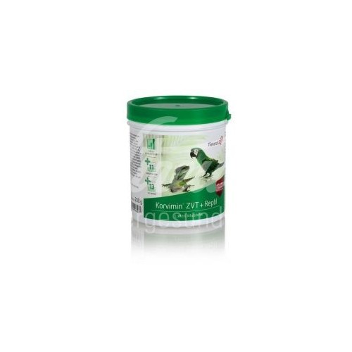 Korvimin ZVT + Reptil Tierarzt24 200g