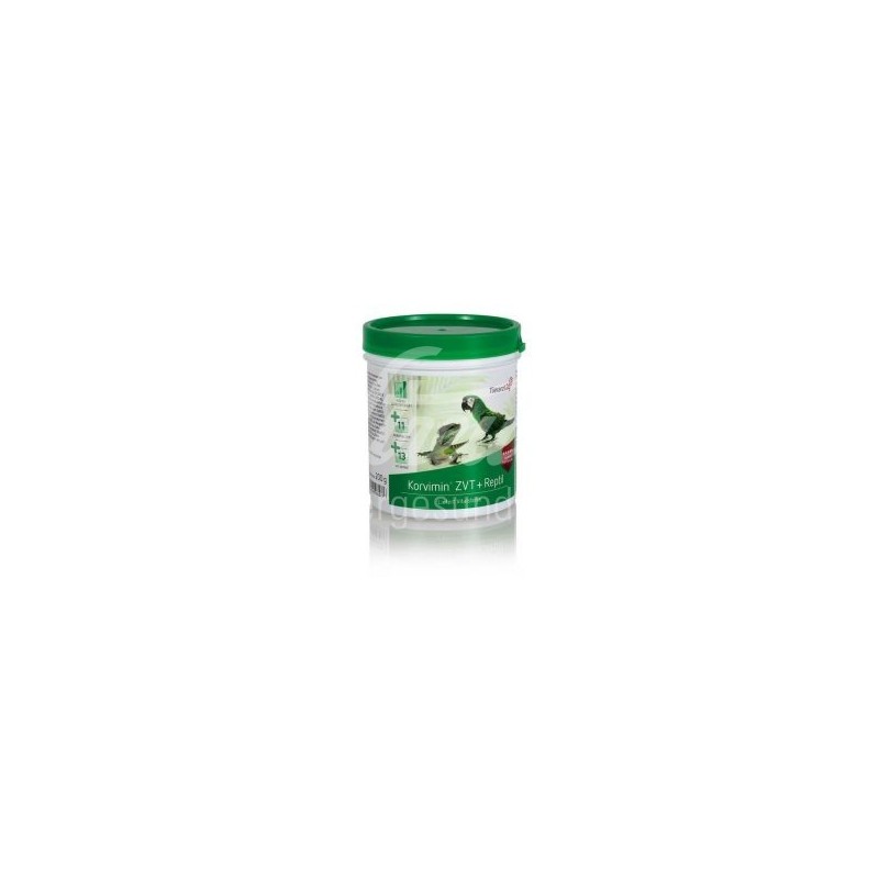 Korvimin ZVT + Reptil Tierarzt24 200g