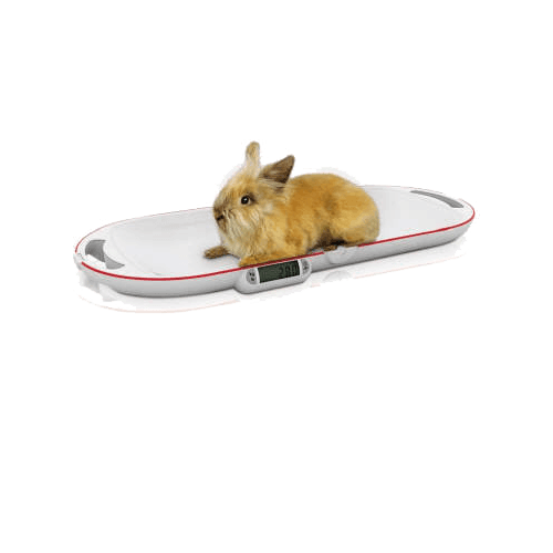 Balance pour petits animaux Soehnle