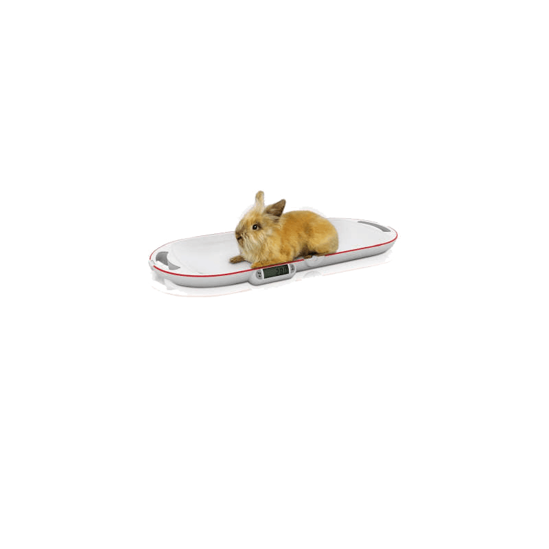 Balance pour petits animaux Soehnle