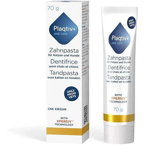 Plaqtiv dentifrice
